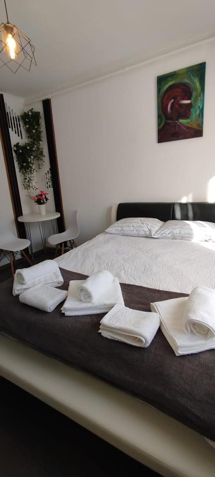 Apartament Casa Tudor Rares *