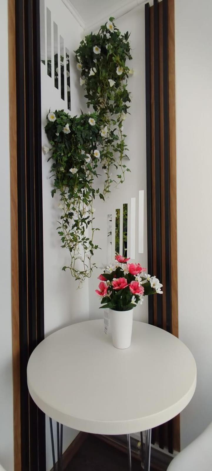 Apartament Casa Tudor Rares Brașov