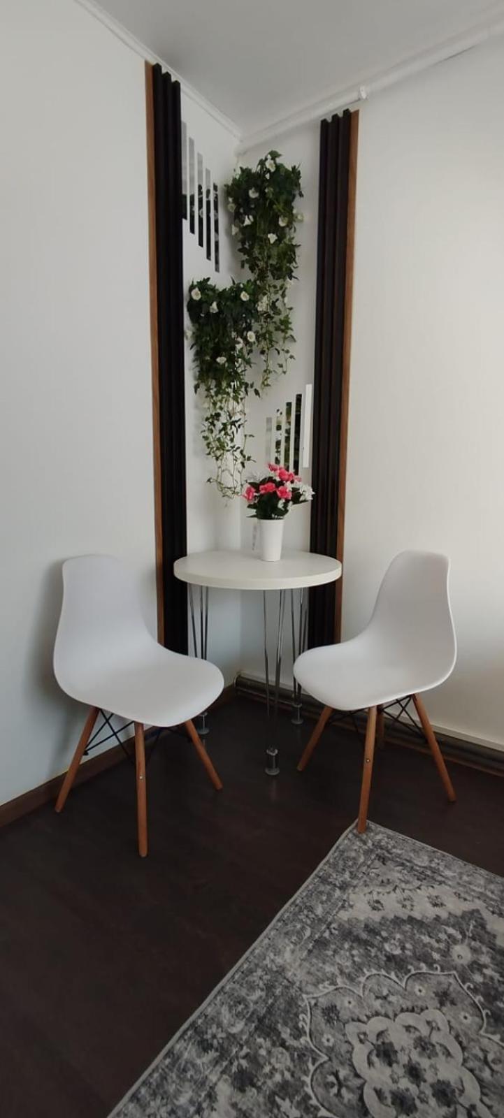 Apartament Casa Tudor Rares