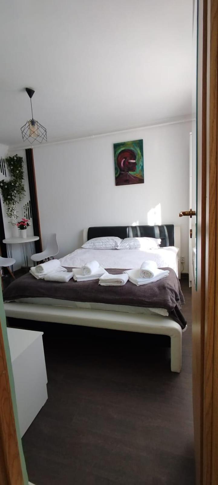 Apartament Casa Tudor Rares *